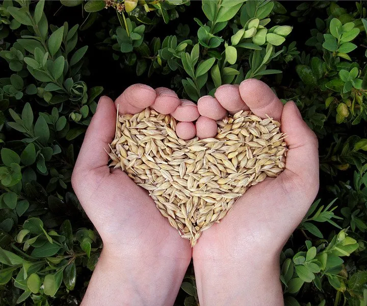 Don au Partage alimentaire de Daveluyville