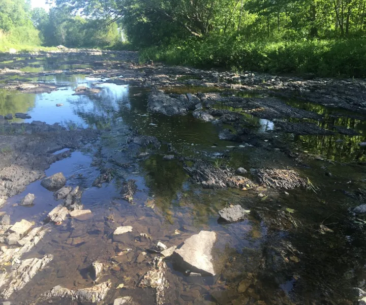 Analyse de la vulnérabilité de la source pour le prélèvement d'eau de surface