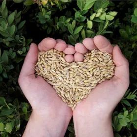 Don au Partage alimentaire de Daveluyville