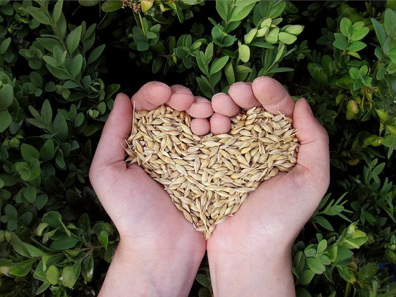 Don au Partage alimentaire de Daveluyville